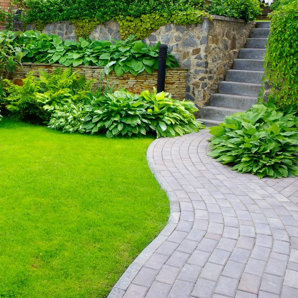 Garden stone path with grass growing up between the stones